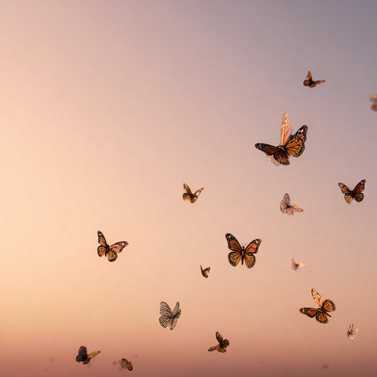 Floating through the Horizon 3